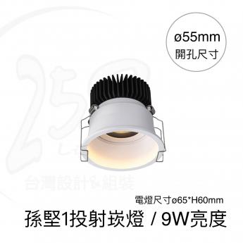 孫堅1 / 投射崁燈 